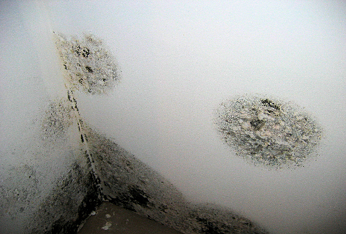 Condensation mold Condensation mold